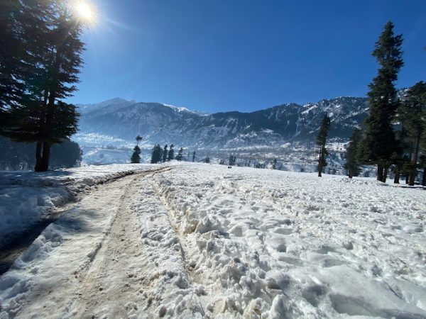 Kalam Forest Playground..Usho Forest Playground