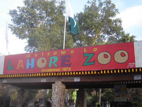 Lahore Zoo | لاہور چڑیا گھر