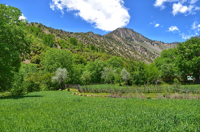 Bumburet Valley | Chitral | وادی بمبوریت
