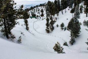Malam Jabba Ski Resort | مالم جبہ ریزورٹ