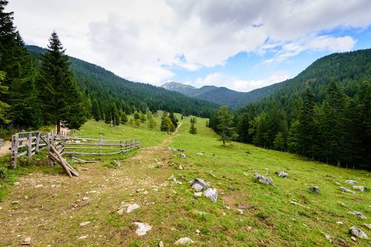 Ayubia National Park | ایوبیہ ملی باغ
