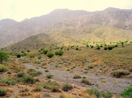Hazarganji Chiltan National Park | ہزار گنجی چلتن نیشنل پارک