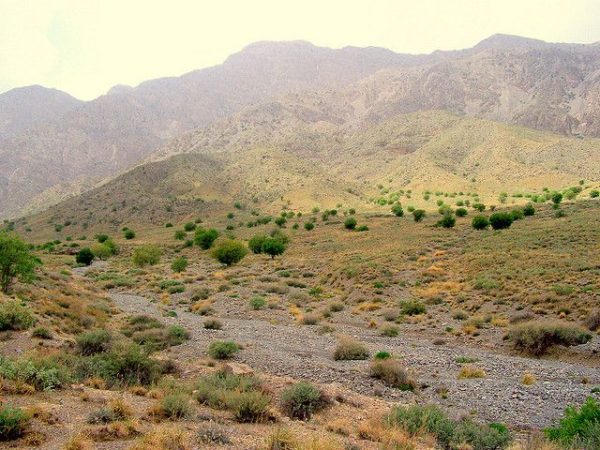 Hazarganji Chiltan National Park | ہزار گنجی چلتن نیشنل پارک