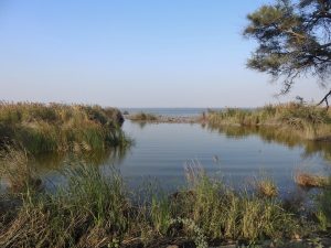 Haleji Lake | ہالیجی جھیل