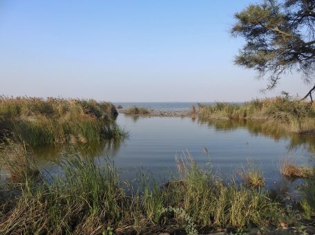 Haleji Lake | ہالیجی جھیل