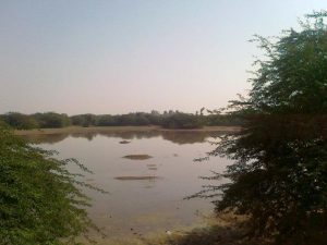 Derawar Lake