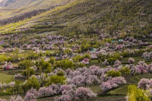 Chunda Valley Skardu | چندا ویلی