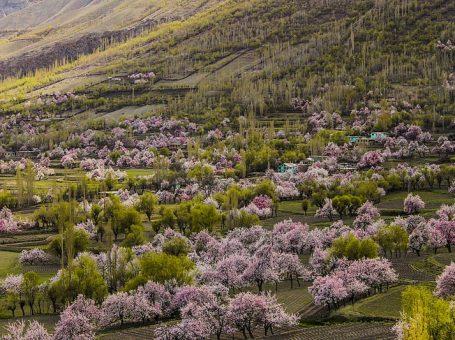 Chunda Valley Skardu | چندا ویلی