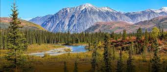 Sheikh Badin National Park | شیخ بدین نیشنل پارک
