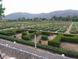 Havelian | حویلیاں