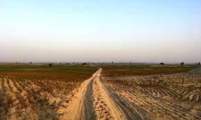 Thal Desert | صحرائے تھل
