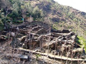 Odigram Swat | وڈیگرام