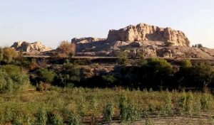 Akra | Bannu | آکرہ