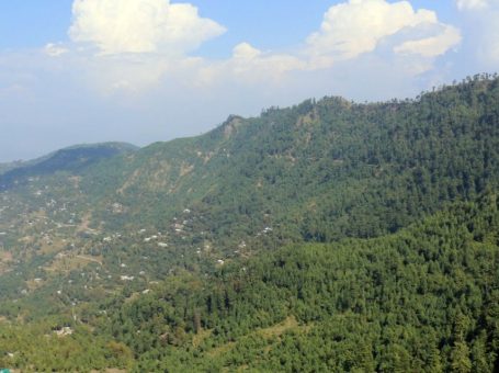 Chinji National  Park | Chakwal | چن جی نیشنل پارک