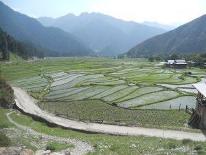 Leepa Valley | وادی لیپہ