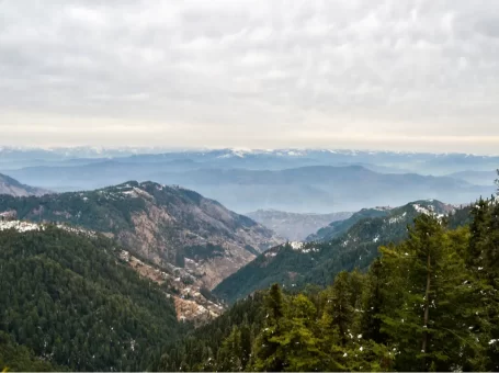 Dunga Gali-Ayubia Track | Pipeline Track | پائپ لائن ٹریک