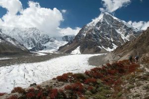 Rupal Glacier