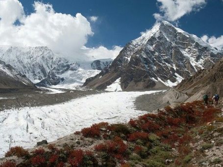 Rupal Glacier